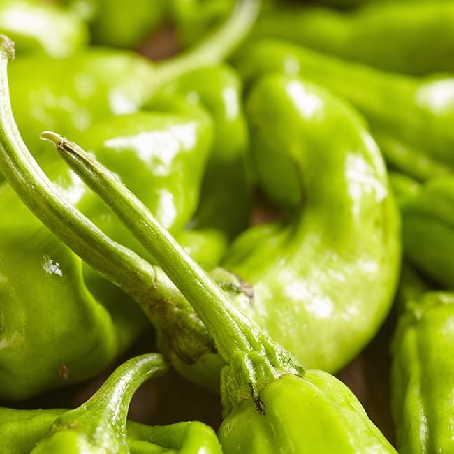Pepper Joe's Shishito Japanese pepper - close shot of green shishito peppers