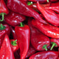 Pepper Joe's Crimson sweet pepper seeds - sweet crimson peppers pile 