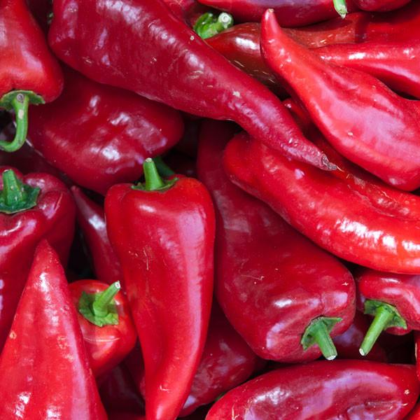 Pepper Joe's Crimson sweet pepper seeds - sweet crimson peppers pile