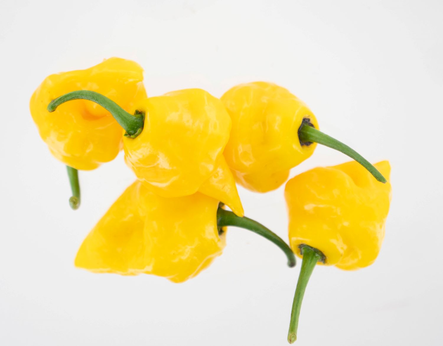 Pepper Joe's Trinidad Perfume Yellow pepper seeds - five yellow peppers piled on white background
