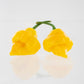 Pepper Joe's Trinidad Perfume chili seeds - two yellow peppers with stingers on white background