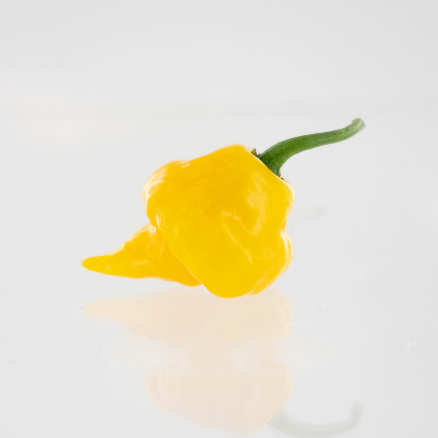 Pepper Joe's Trinidad Perfume Pepper Seeds - yellow Trindad Perfume pepper with stinger