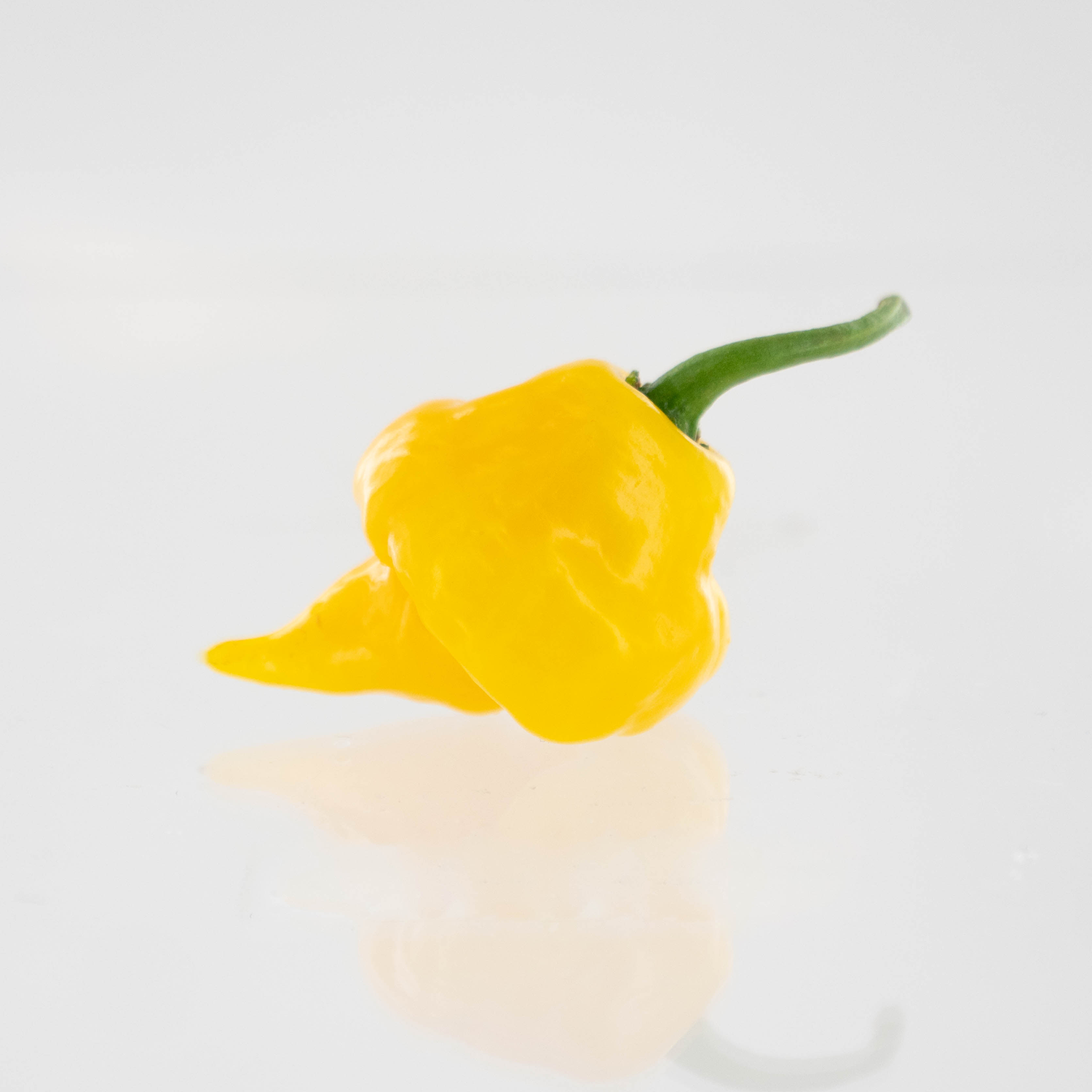 Pepper Joe's Trinidad Perfume Pepper Seeds - yellow Trindad Perfume pepper with stinger