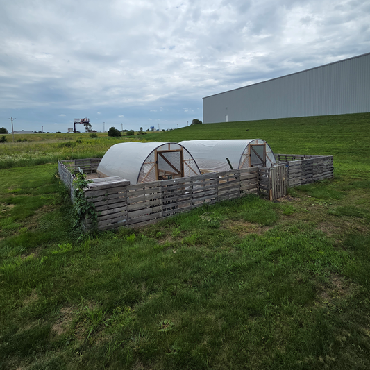 Exterior shot of two hoop houses with pallet fence,