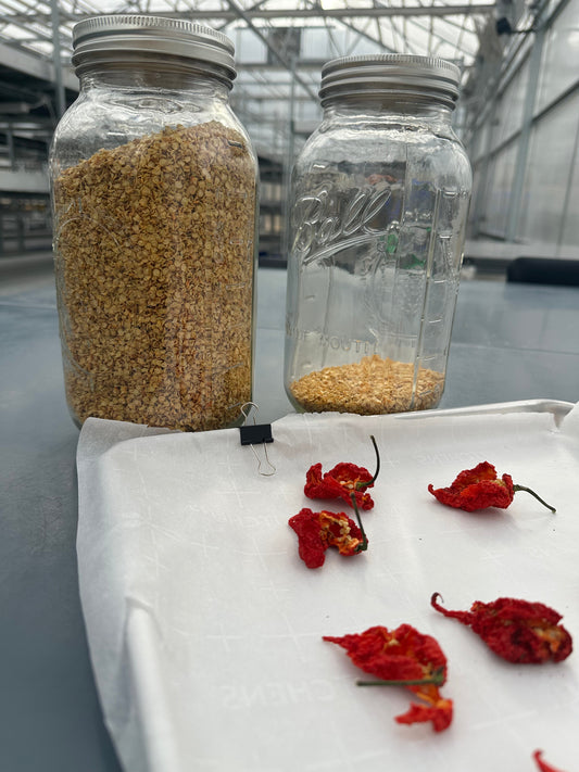 How to Save Pepper Seeds at the End of the Season So You Can Grow Again Next Year