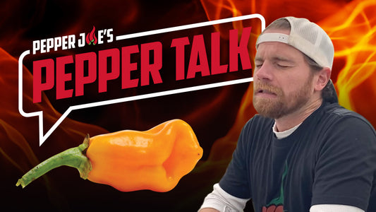 Mike Eats a Datil Pepper (100,000-300,000 SHUs)!