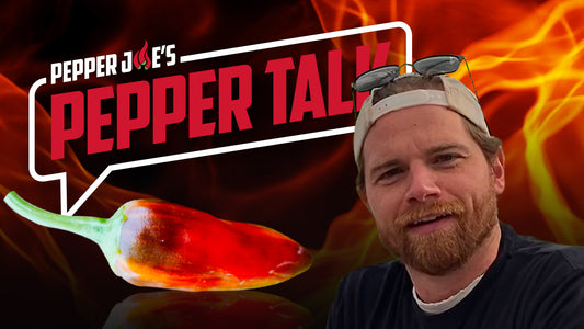 pepper talk fish pepper