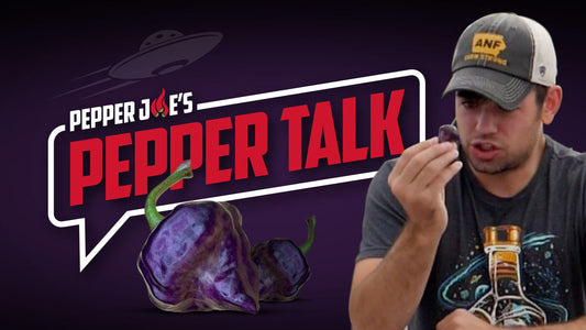 Keaton Eats a Purple UFO Pepper (30,000–45,000 SHUs)