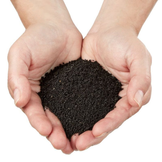 Hands holding nutrient-rich worm castings used as natural fertilizer for pepper plants