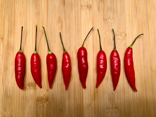 Aji Omnicolor Pepper Spotlight: One of the Tastiest Ornamental Peppers You Can Grow