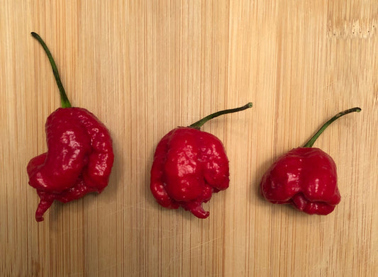 Dragon's Breath Pepper: The Spicy Scoop on a Controversial Welsh Chili