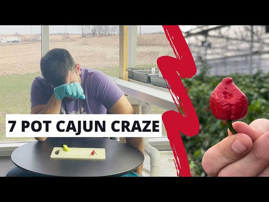 Keaton Tortures Himself and Eats an ENTIRE 7 Pot Cajun Craze (1,320,000 SHUs!)