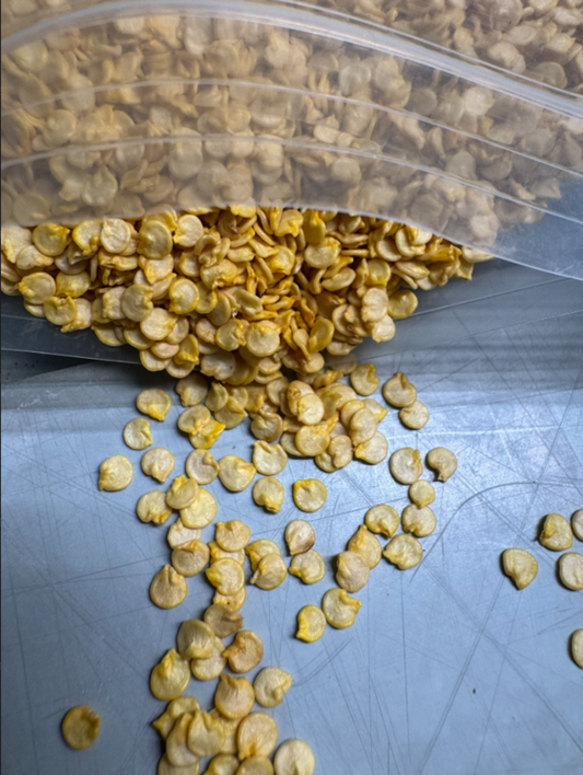 A clear bag overflowing with dried pepper seeds spilling onto a work surface.