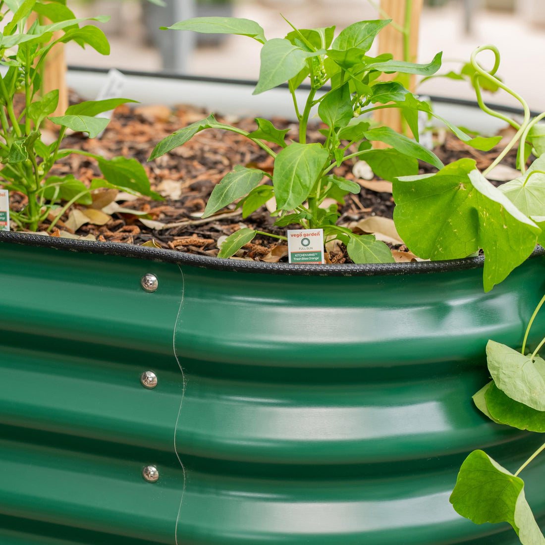 Close up of dark green garden bed material