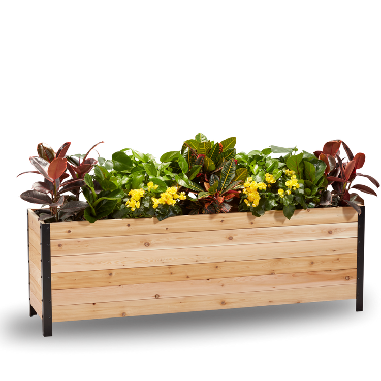 Cedar Planters