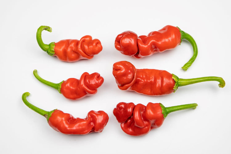 red peter peppers