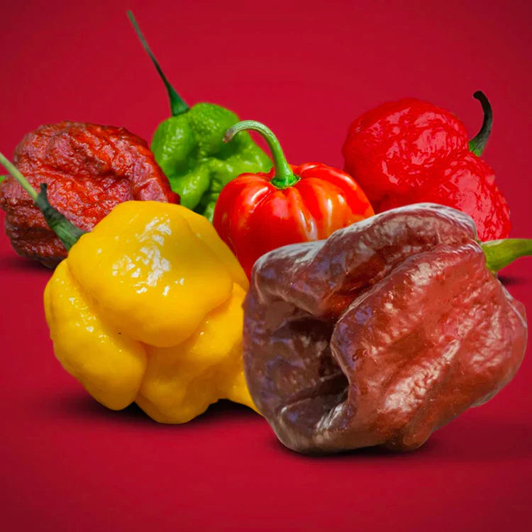 graphic of super hot peppers like the carolina reaper, trinidad scorpion, ghost pepper, red savina habanero, and others.