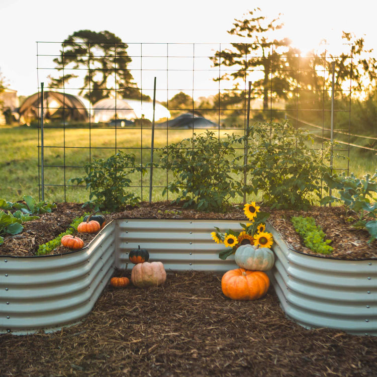 Vego Raised Garden Bed with Trellis