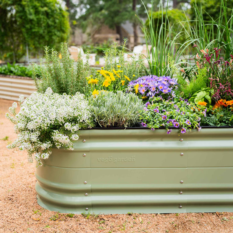 olive green vego garden bed with flowers