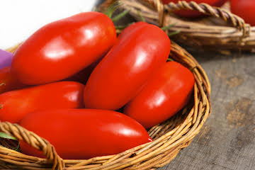 Polish Paste Tomato Seeds