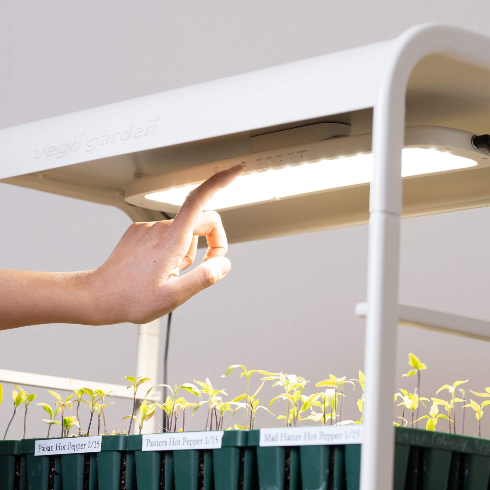 tabletop plant grow light 1 Tier Tabletop Grow Light Garden
