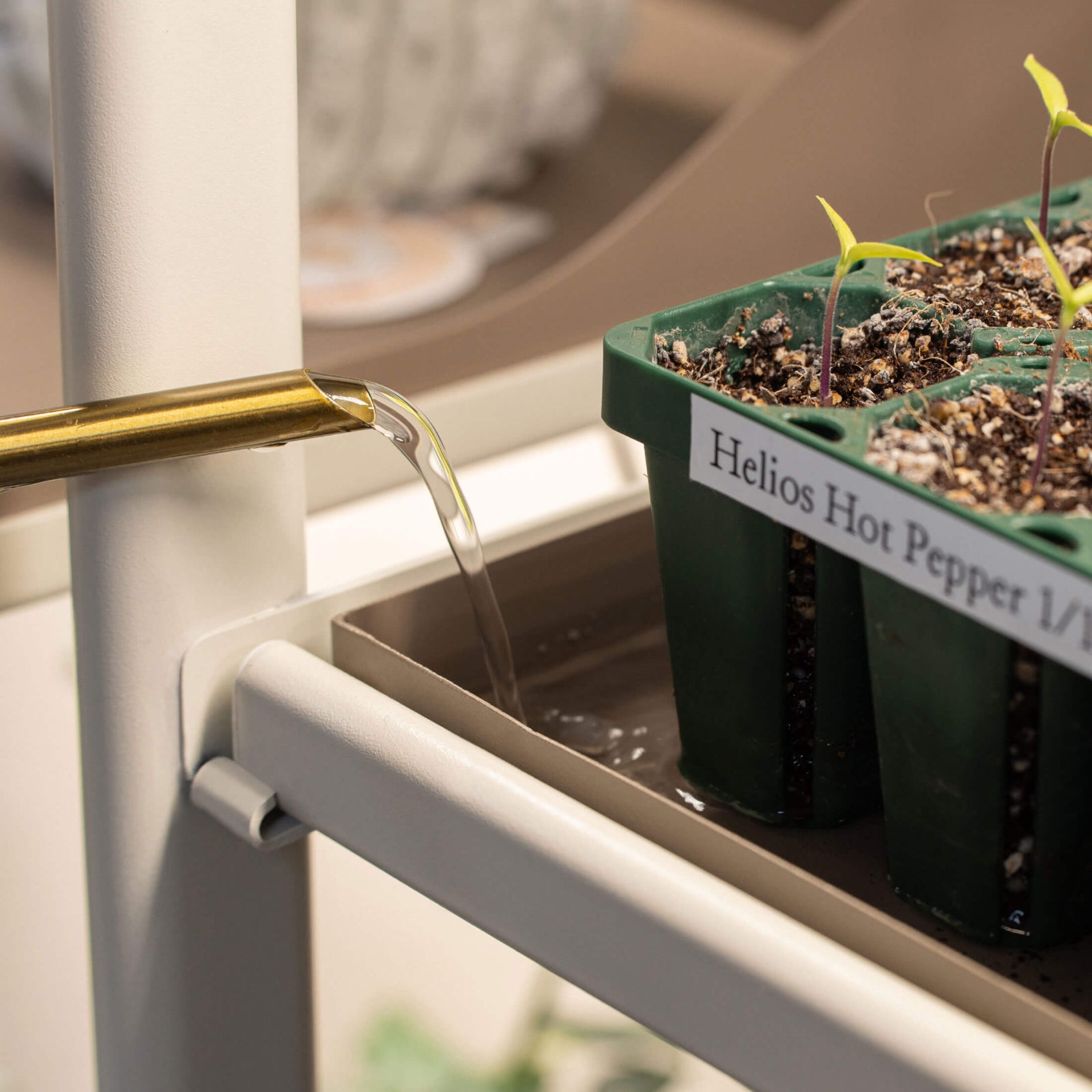 indoor plant growing tables 1 Tier Tabletop Grow Light Garden
