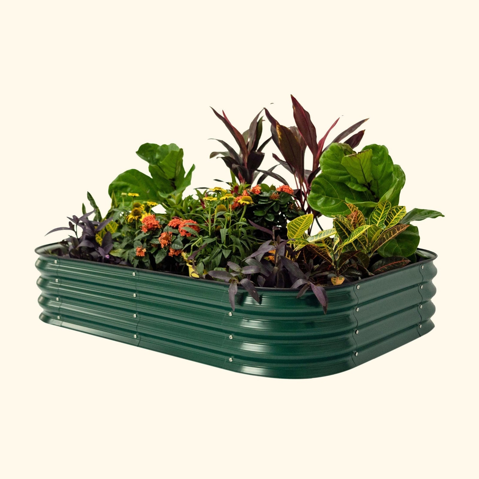 A british green 11 inch tall 6 in 1 modular metal Garden Bed with colorful flowers and plants on a white background.