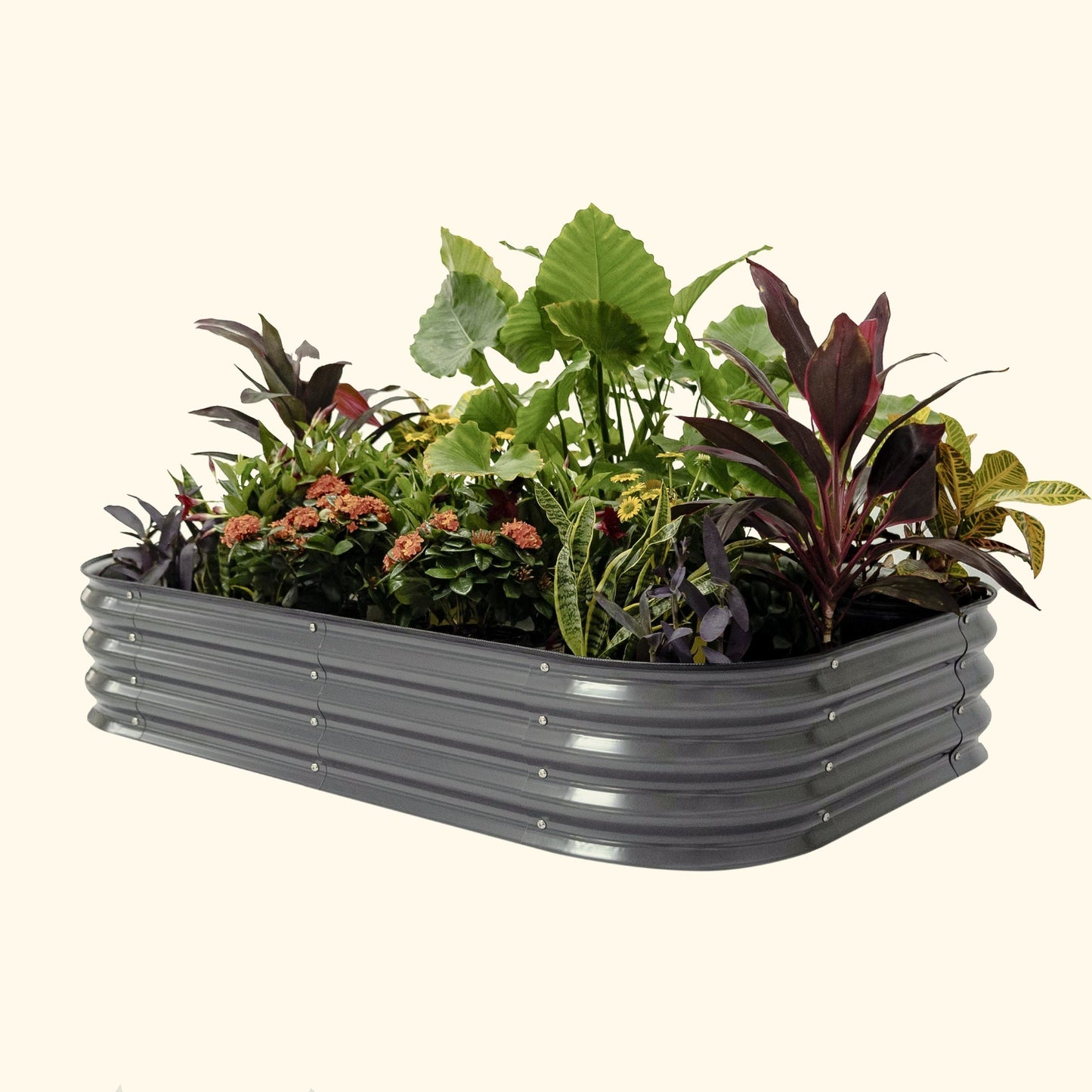 A modern gray 11 inch tall 6 in 1 modular metal Garden Bed with colorful flowers and plants on a white background.