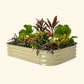 A pearl white 11 inch tall 6 in 1 modular metal Garden Bed with colorful flowers and plants on a white background.