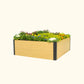 16 inch tall woodgrain 4 foot by 4 foot metal raised garden bed with flowers on a white background