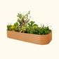 A terra cotta modular metal raised garden bed kit filled with various plants and vegetables.