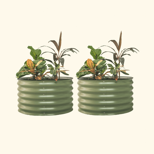 Two Olive Green berry garden raised beds with colorful flowers and plants on a white background.