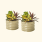 Two pearl white 17 inch tall garden bed that is 24 inches wide with colorful plants on a white background.