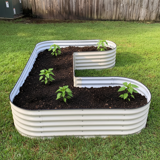 Pearl White U-Shaped raised garden bed jumbo size with five young pepper plants growing in a backyard.