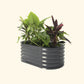 Modern Gray kids raised garden bed with colorful flowers and plants on a white background.
