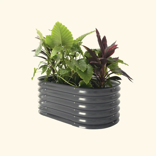 Modern Gray kids raised garden bed with colorful flowers and plants on a white background.