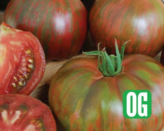 Semillas de tomate tie-dye de color rosa Berkeley