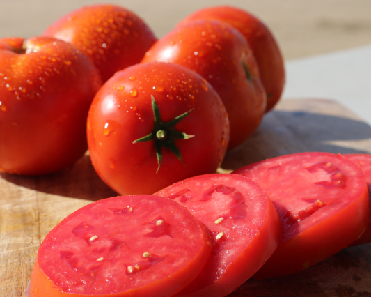 Semillas de tomate híbrido Big Beef Plus 