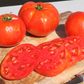 Florida 91 Hybrid Tomato Seeds