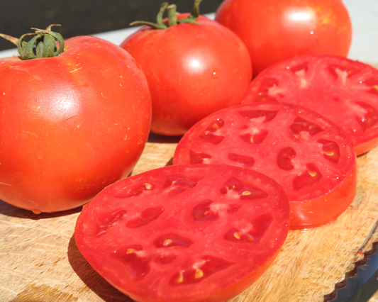 Semillas de tomate híbrido Jamestown