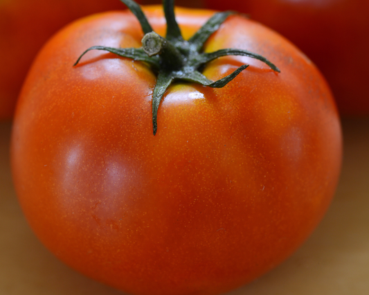 Tomate híbrido Little Sicily