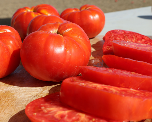 Beefmaster Hybrid Tomato Seeds