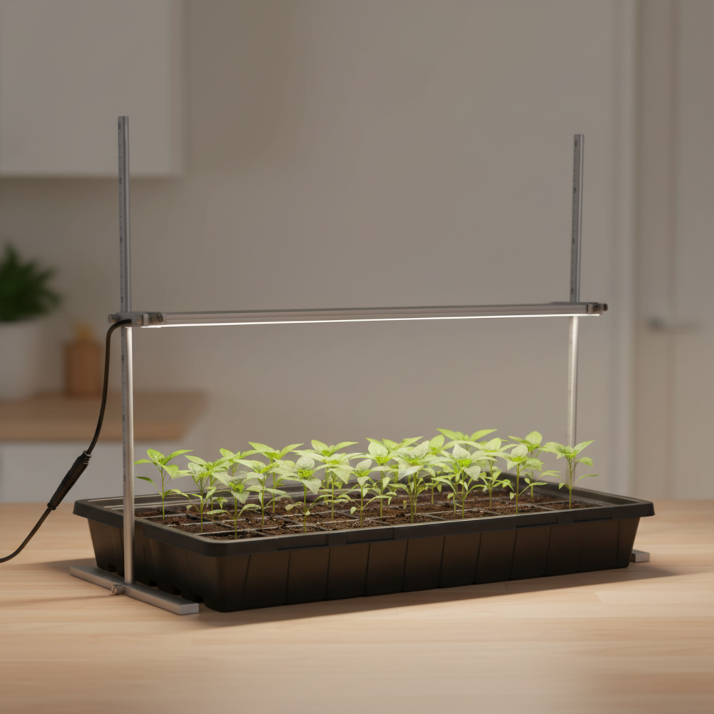 2 FT LED grow light with pepper seedlings in an indoor setting.