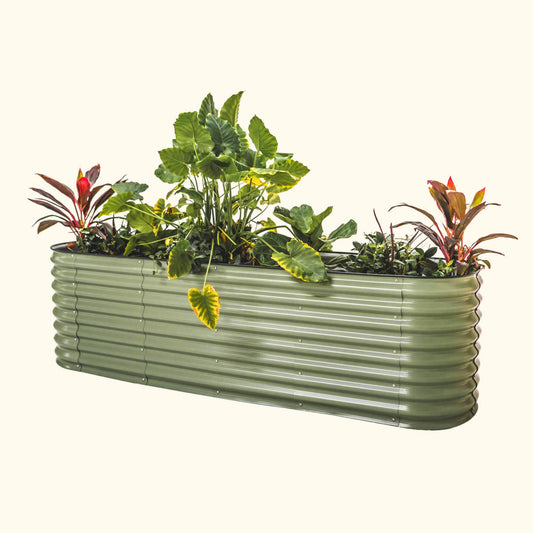 An olive green elevated garden bed with color plants inside on a white background.