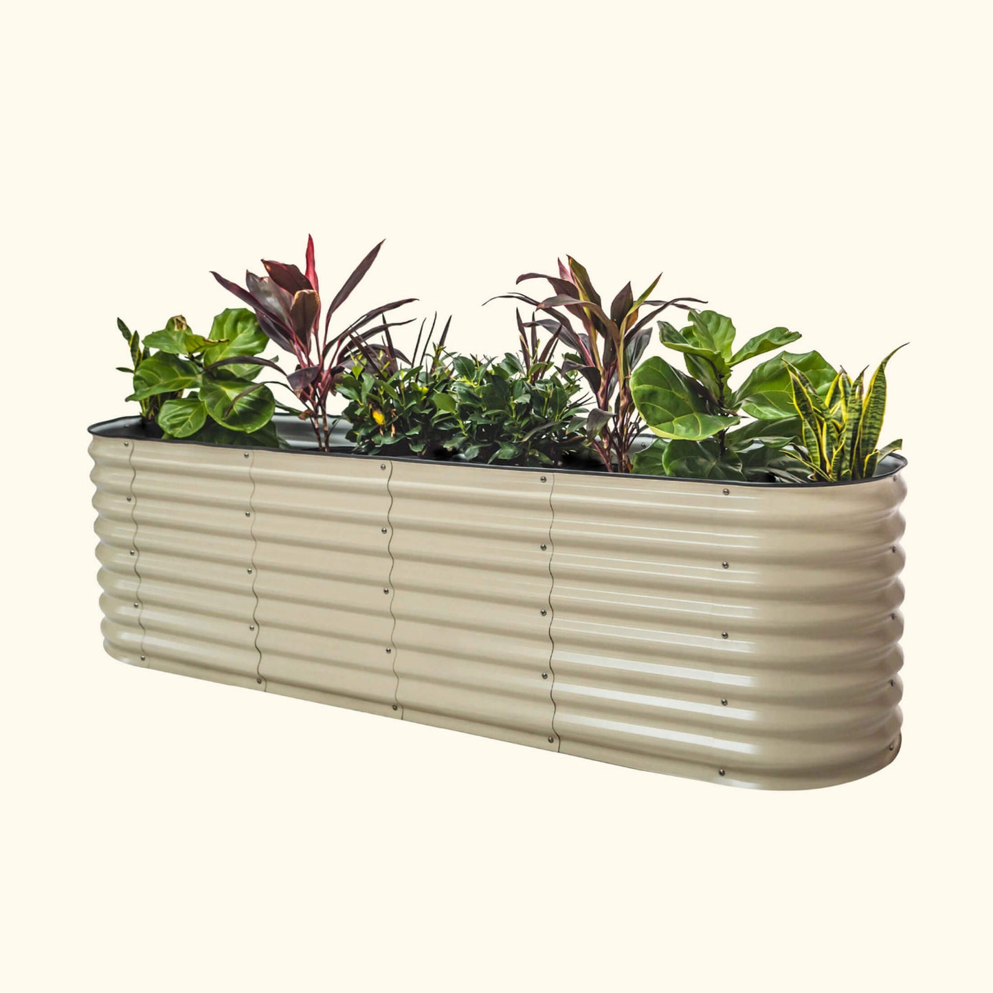 A pearl white elevated garden bed with color plants inside on a white background.