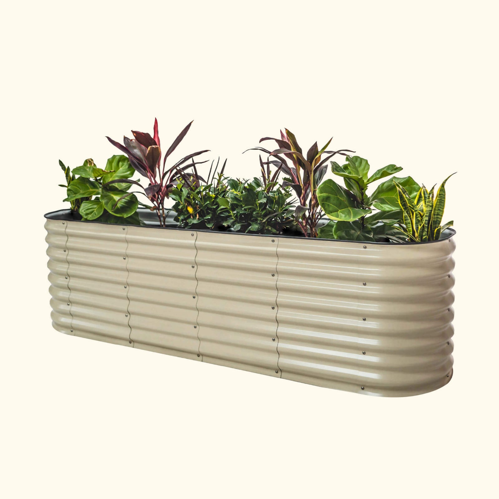 A pearl white elevated garden bed with color plants inside on a white background.