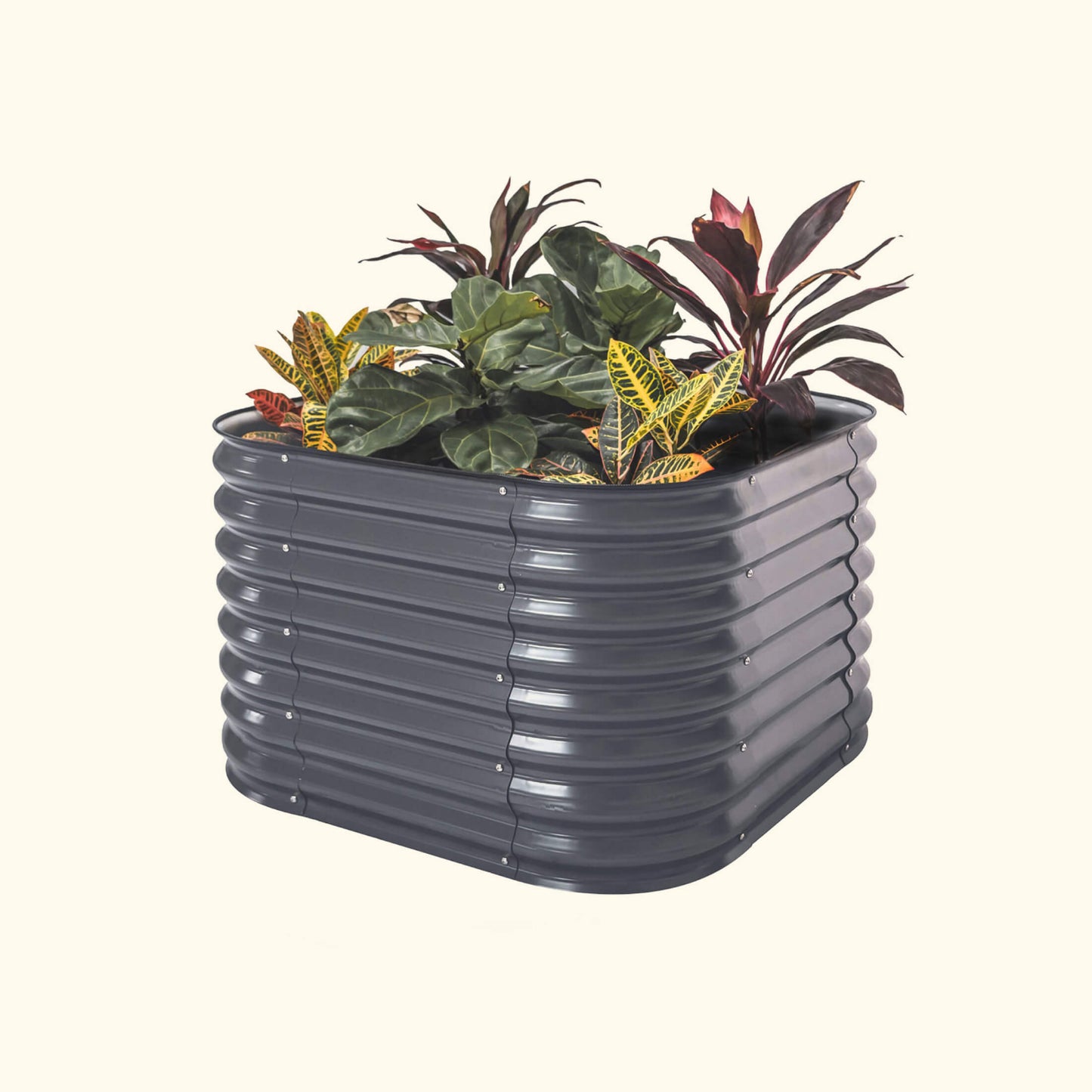 A modern gray elevated garden bed with color plants inside on a white background.