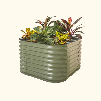 An olive green elevated garden bed with color plants inside on a white background.