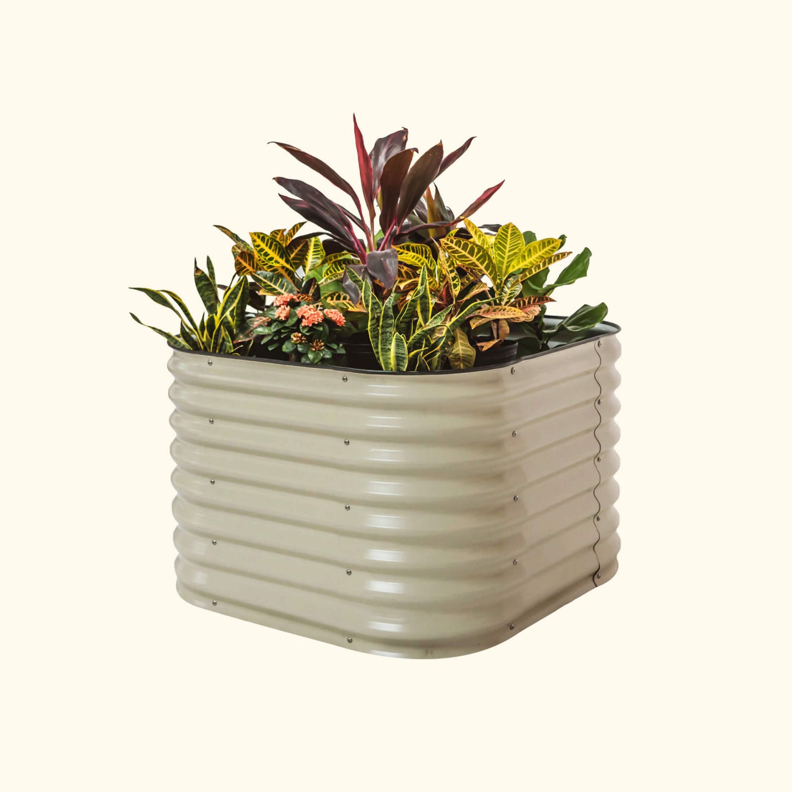 A pearl white elevated garden bed with color plants inside on a white background.