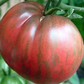 Pink Berkeley Tie-Dye Tomato Seeds